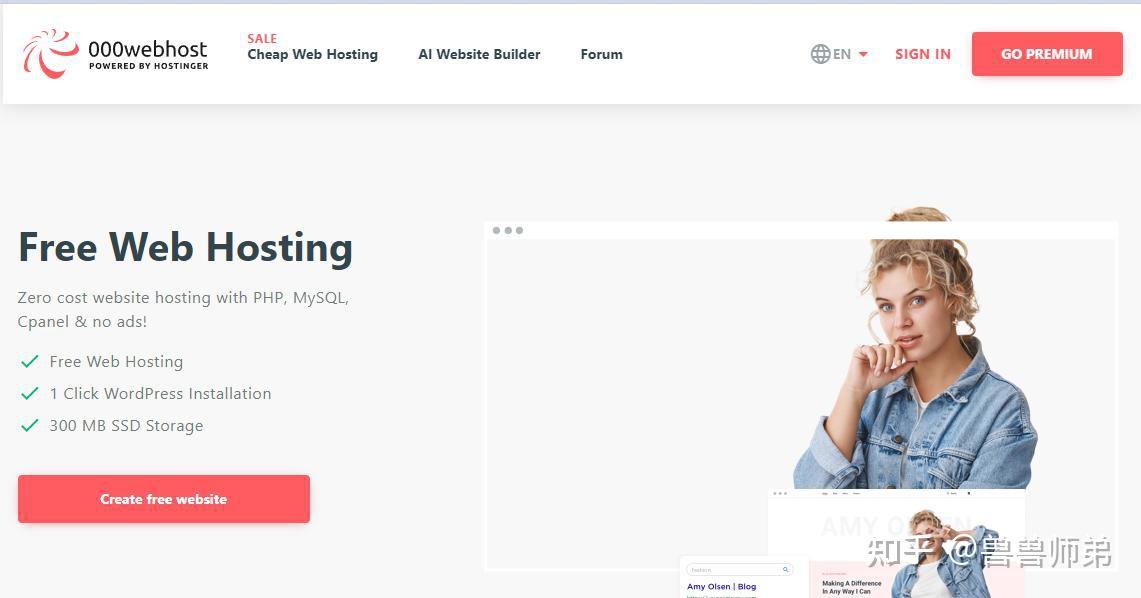 免费主机免费空间应该怎么选。