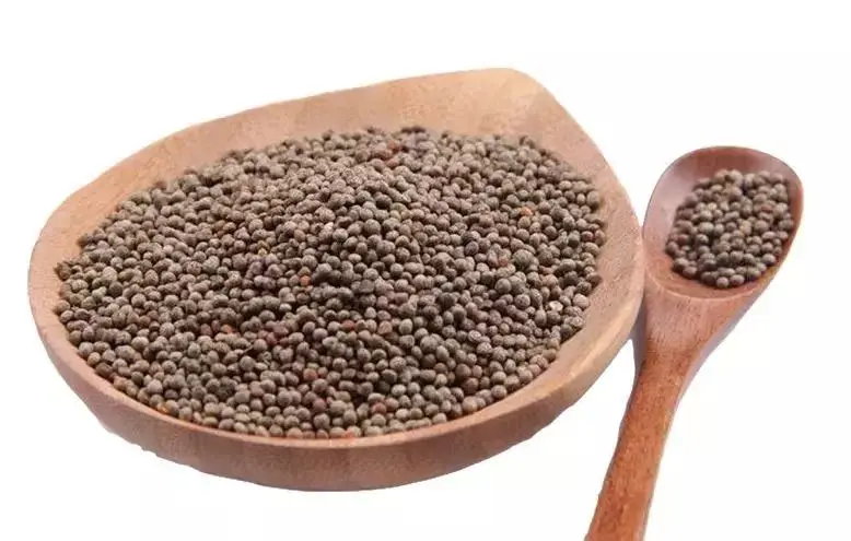 白苏的种子是日本最早的榨油原料,制成品也被称为"荏油".