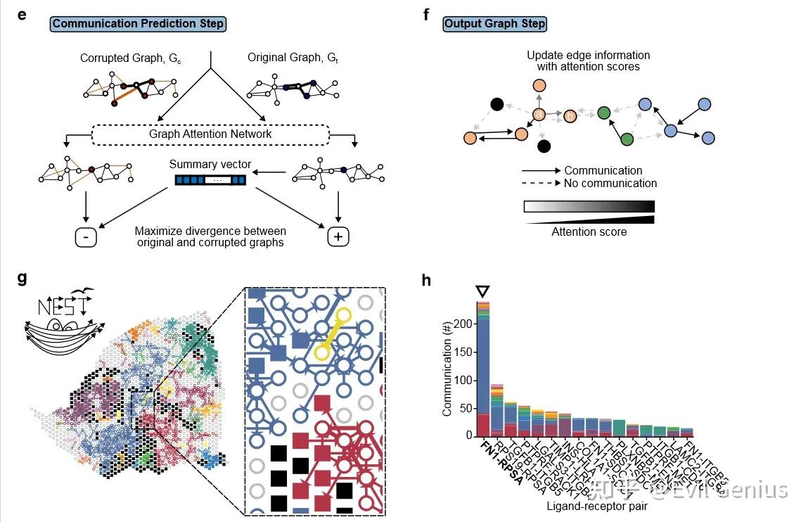 10X空间转录组NEural network on Spatial Transcriptomics - 知乎