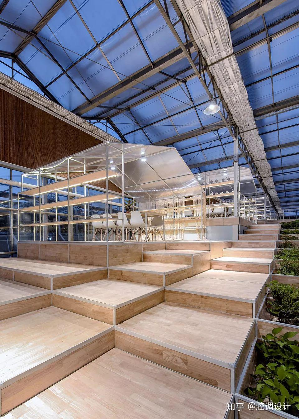 "拾级而上"的体验强化了农业空间的属性,将"吃""玩"和文化艺术结合