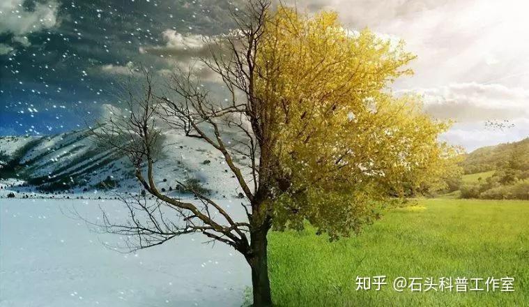 在这门神奇的语言中,“雪”竟有一百种多说法? - 知乎