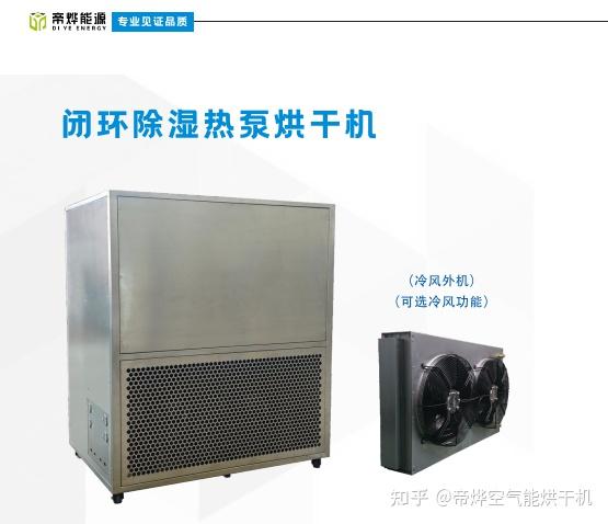有哪些常见的豆角烘干问题?