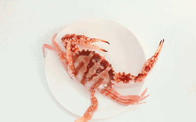 收到一只5斤重的活帝王蟹 要怎么办 在线等 知乎