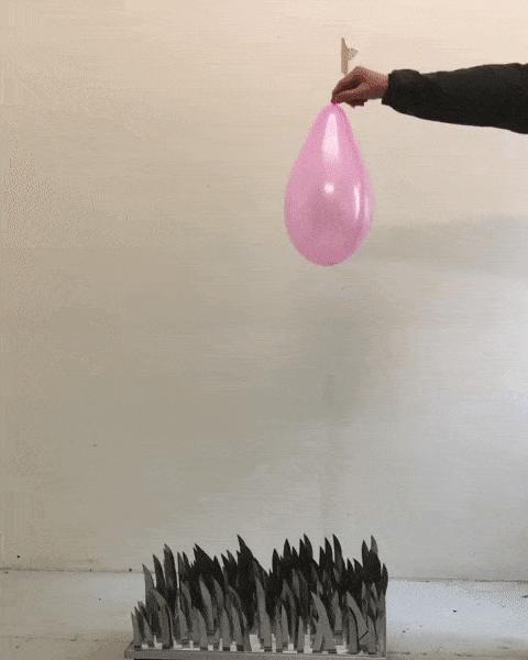 丹麦光头宅大叔每天在家爆气球,居然吸了50万粉.