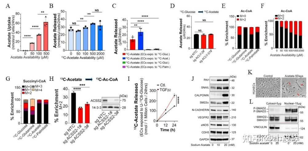 Cell Metabolism | 细胞代谢的分子机制如何做?代谢顶刊CM的这篇文章也许能给你一些灵感 - 知乎
