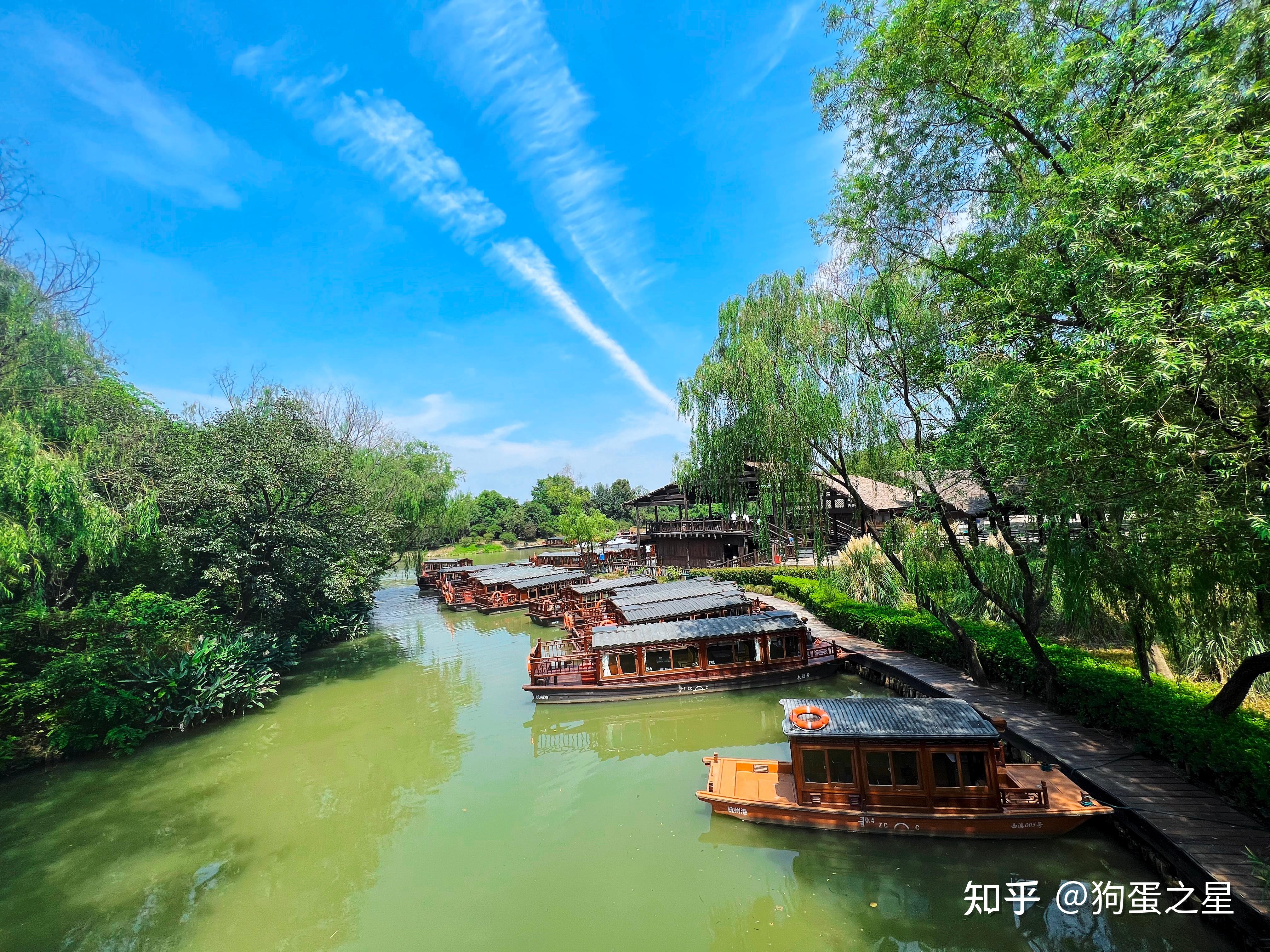 摇橹船，西溪湿地家庭出行不可错过 - 知乎