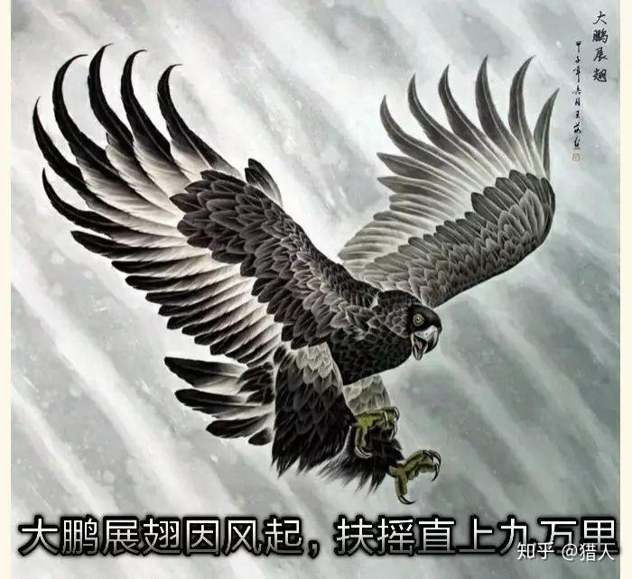 什么都不会的小白可以做公众号么