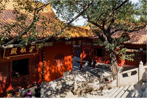 仙湖植物园怎么去弘法寺 - 知乎