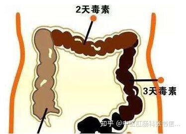 每天一便也可能是便秘 判定便秘不应以次数来定论 知乎