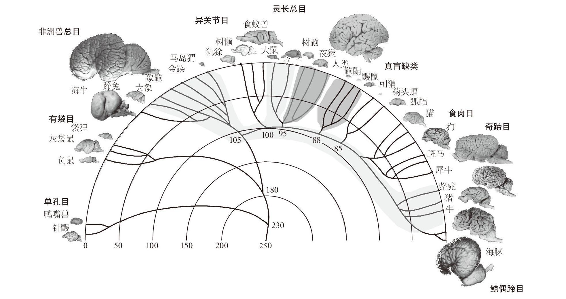 v2-7544c579da51daf81d3bd5f3f03724ce_r.jpg