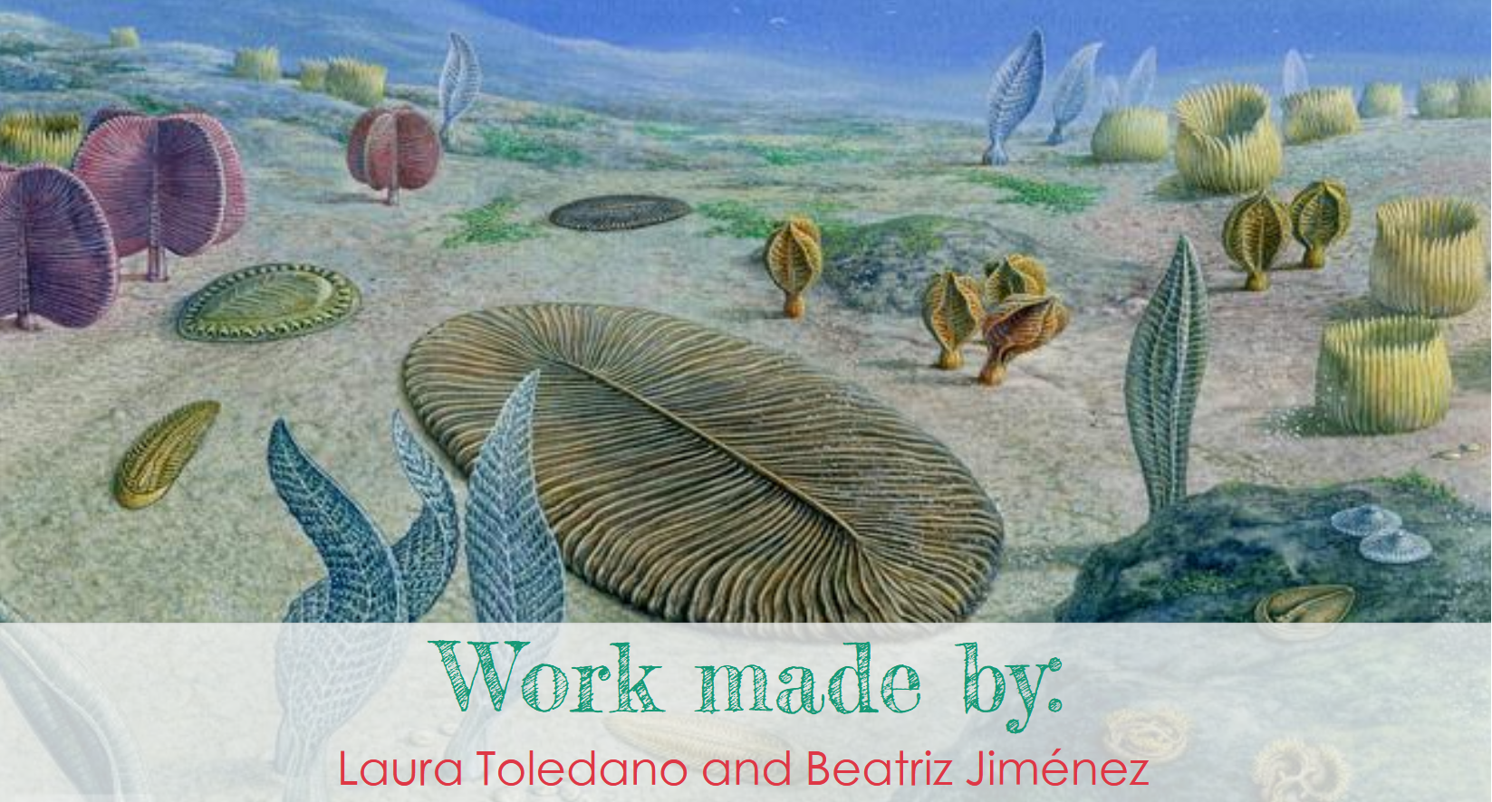 千姿百态的冠轮动物(四)--环节动物ii - 知乎