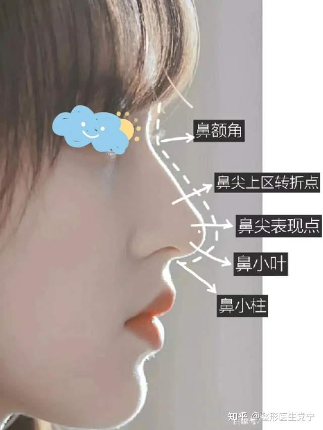 怎么定义妈生鼻，如何选择适合自己的鼻型？ - 知乎