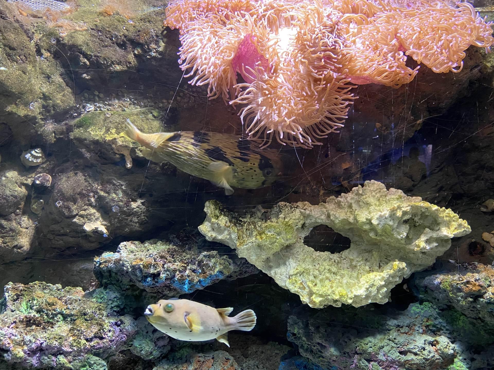 享湖光山色探海洋奥秘杭州海底世界