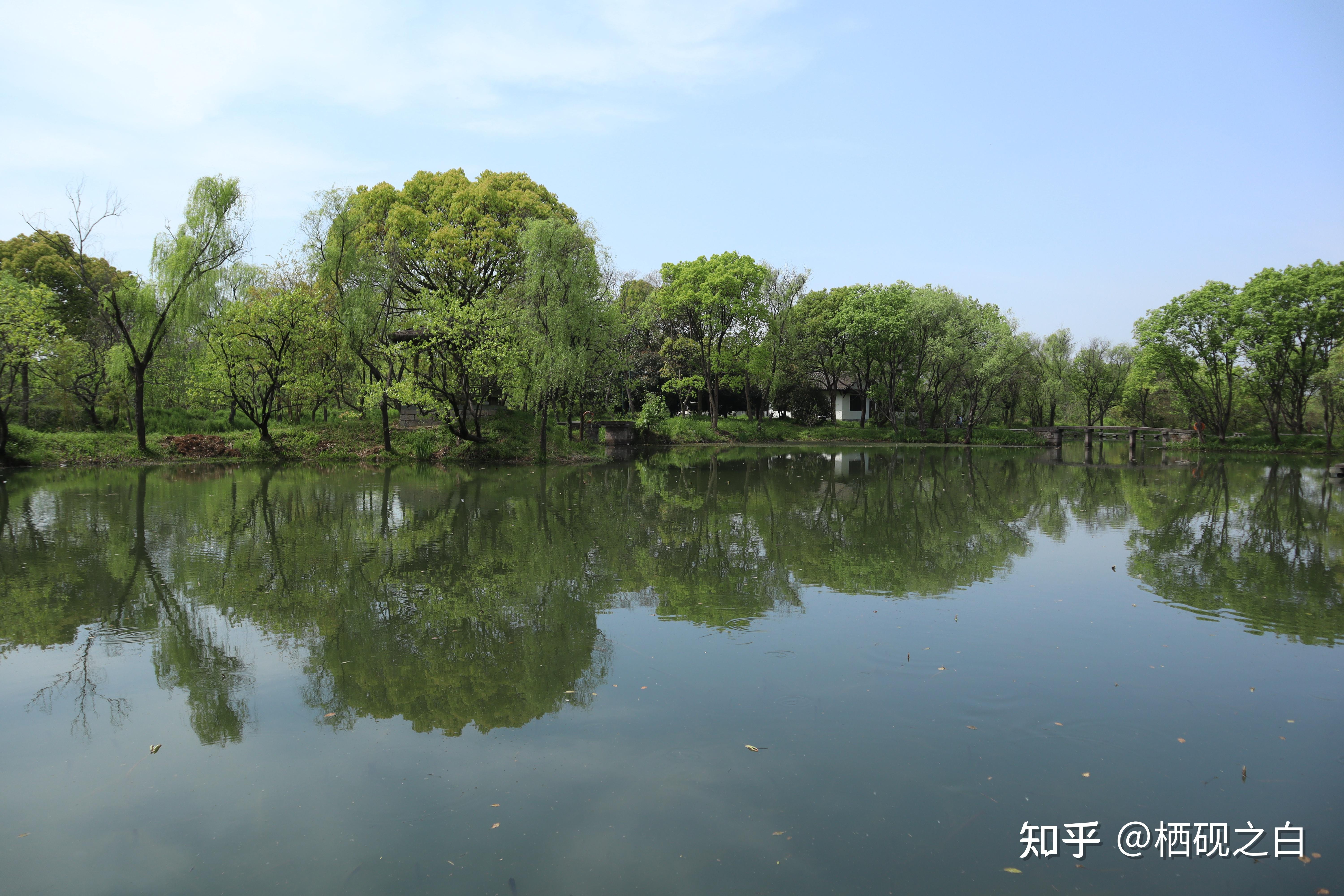 西溪湿地绿堤图片图片