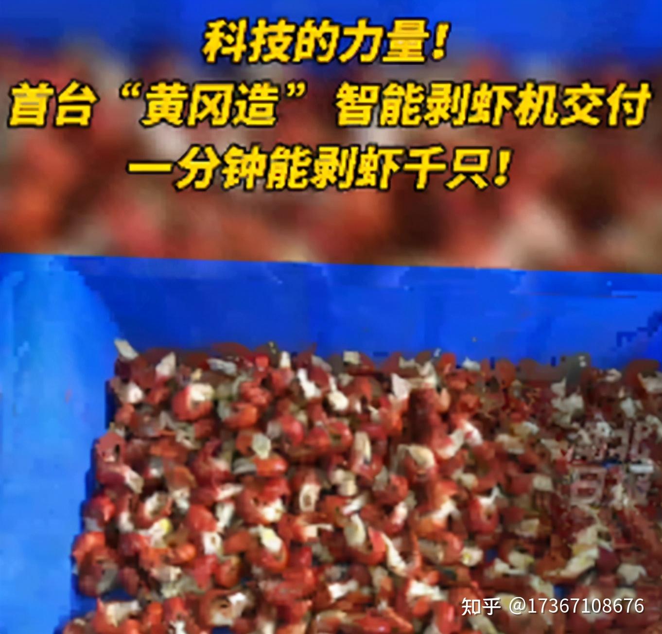 如何剥虾,剥虾,剥虾壳(第10页)_大山谷图库