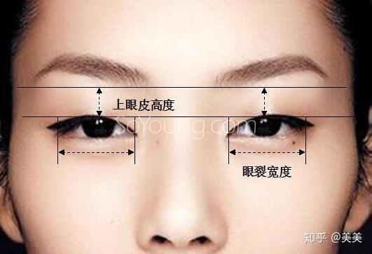 眼间距 zhuanlan.zhihu.com