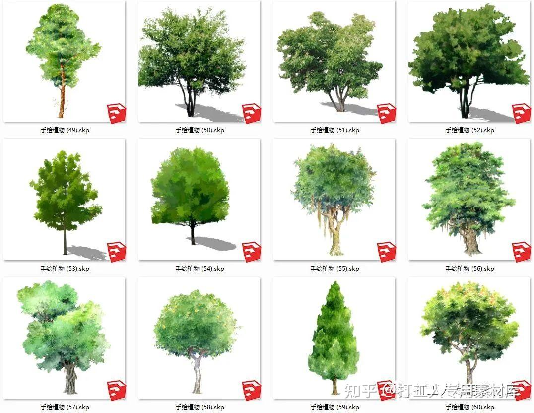 超全SU常用植物库素材大合集(2D、3D的写实风手绘风树木、灌木、花卉、盆栽均有) - 知乎