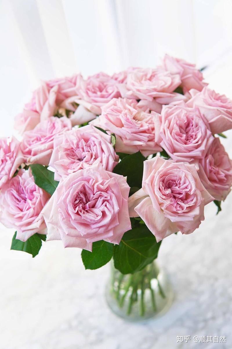 粉荔枝自带天然香气