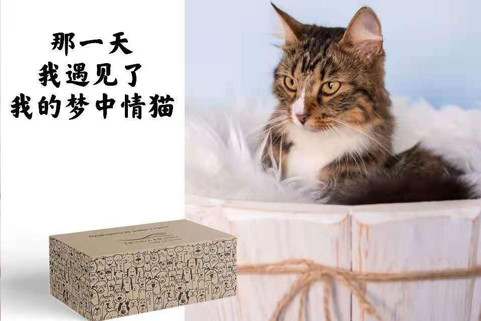v2-75adc7ba49fe9d5806183960d80190d2_1440w.jpg?source=172ae18b