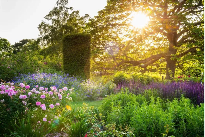 世界植物園賞析英國威斯利花園