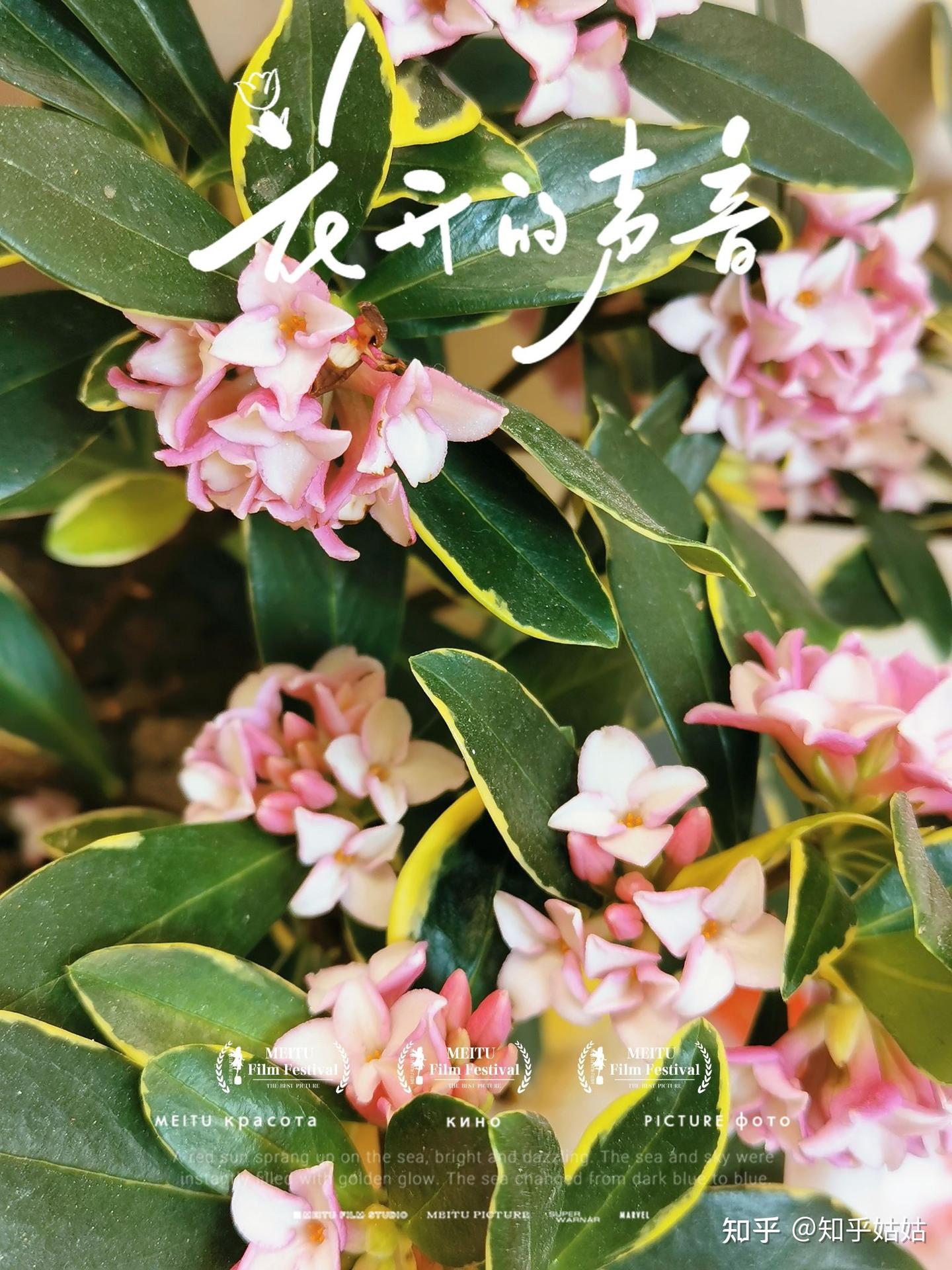 如何活在当下? - 知乎