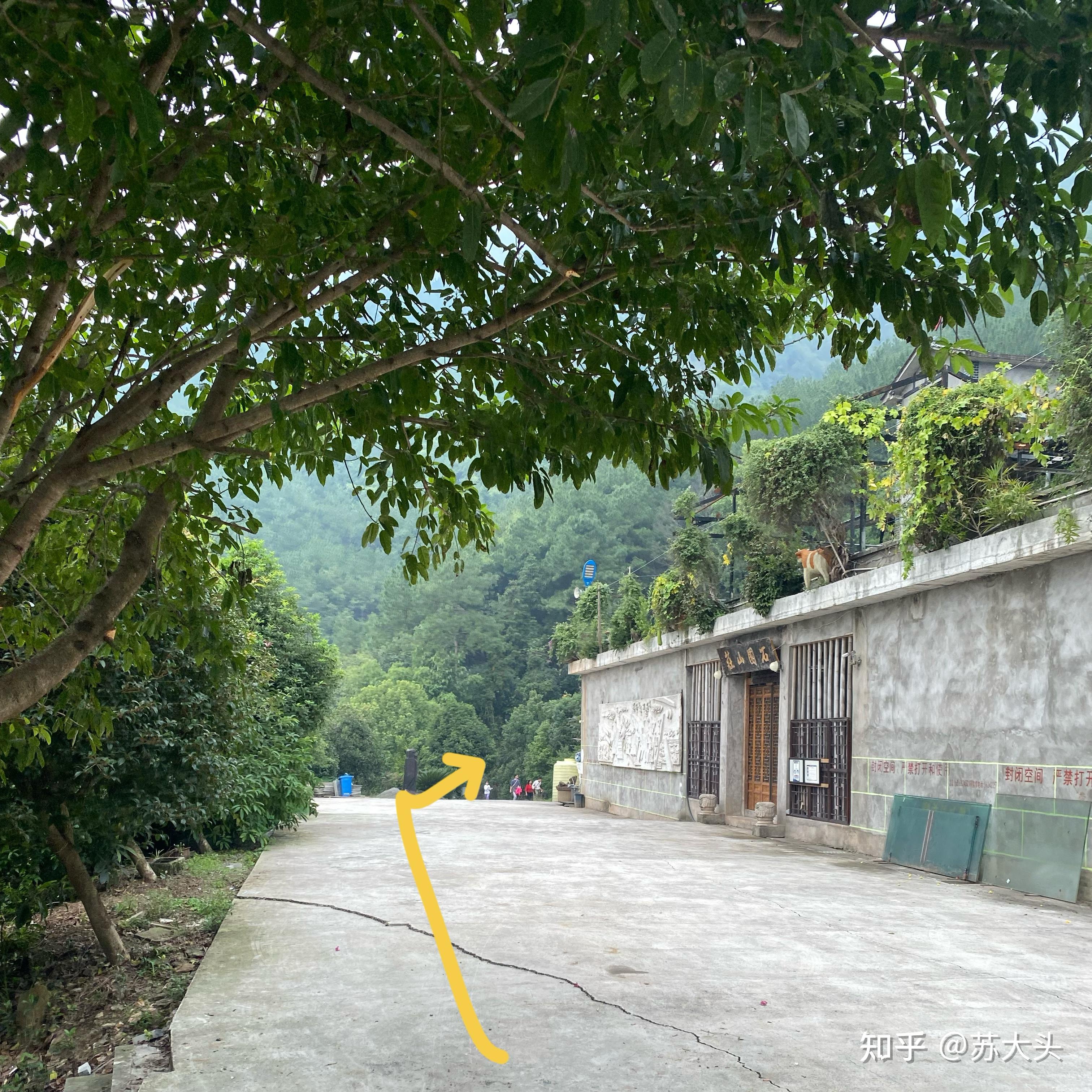 重庆徒步爬山圣地：缙云山免门票上山详细路线指引 - 知乎