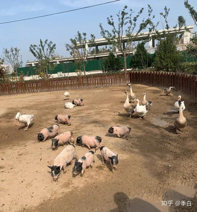 太原動物園一日遊攻略