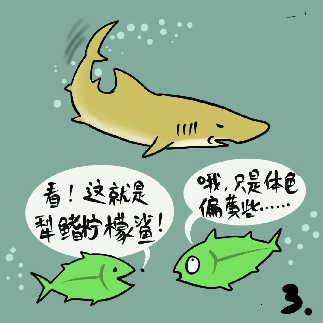 科普漫画