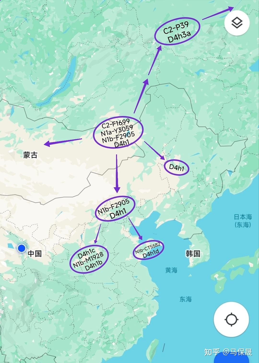 根据D4h母系古样本判断N父系大支的起源和迁徙 - 知乎