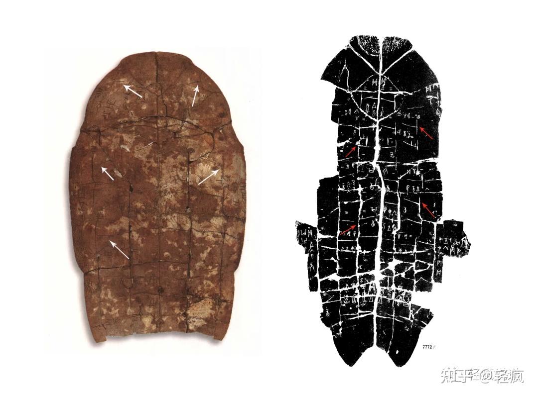 最古老的预测方式——龟卜 - 知乎