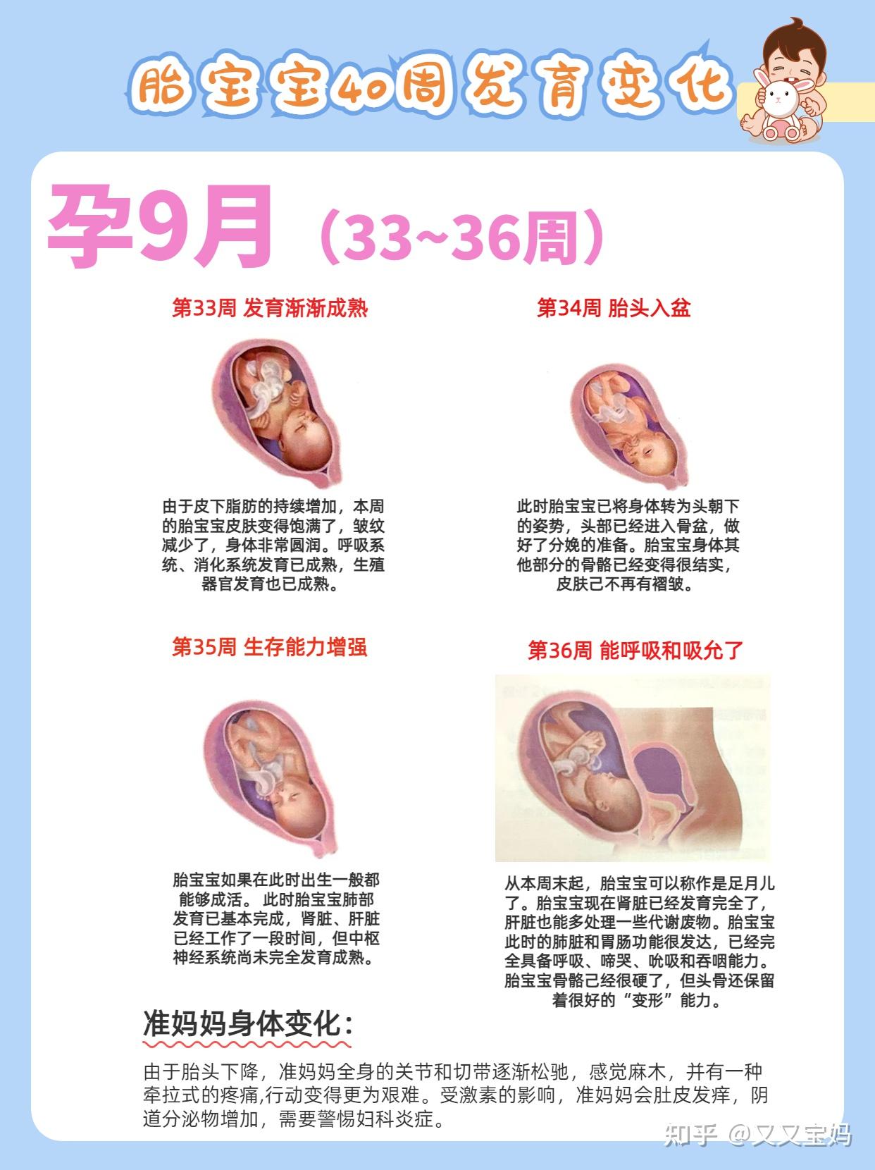 怀胎十月过程图设计图__医疗保健_生活百科_设计图库_昵图网nipic.com