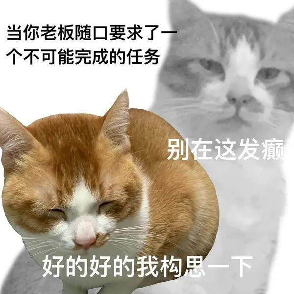 发疯发癫的表情包 - 知乎