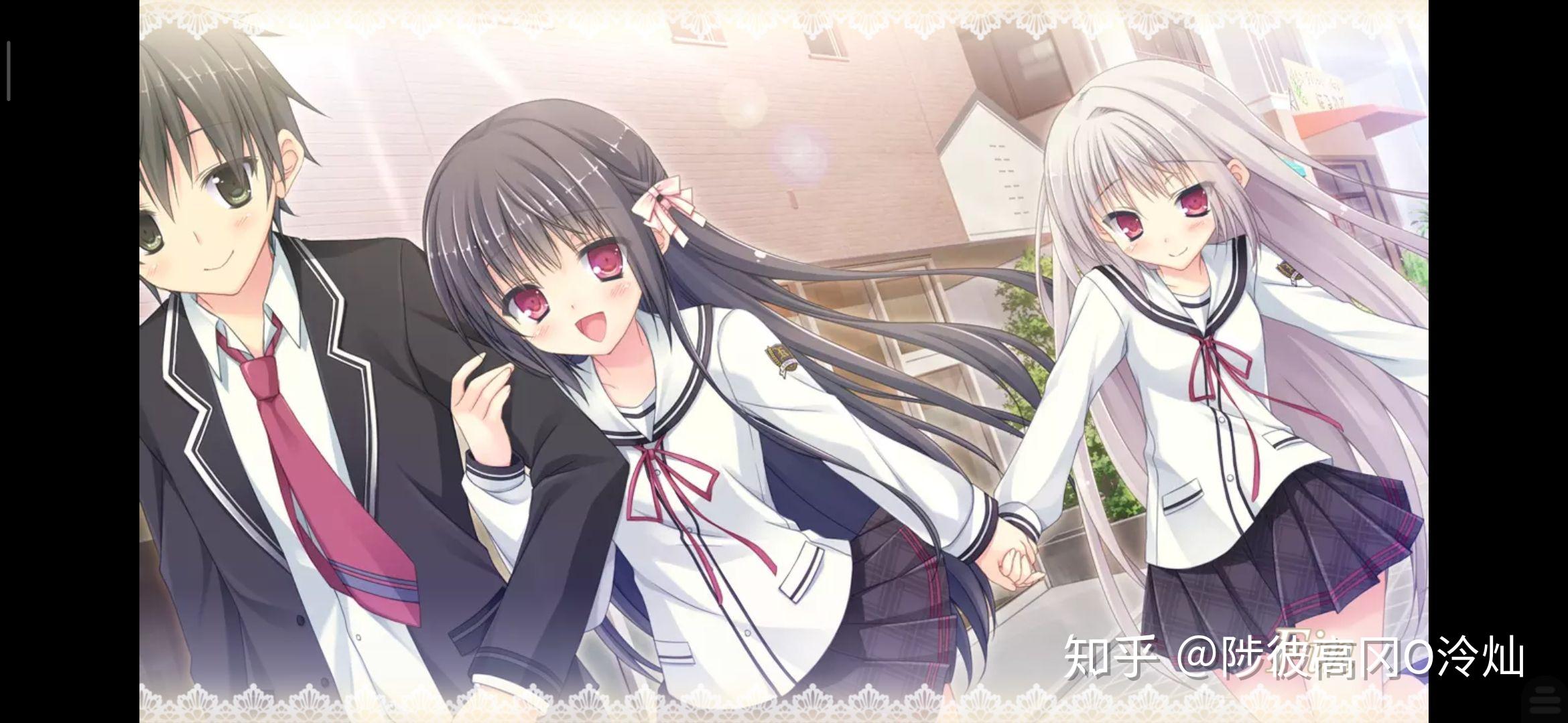 parasol社晴菜花浅谈谨以此留念