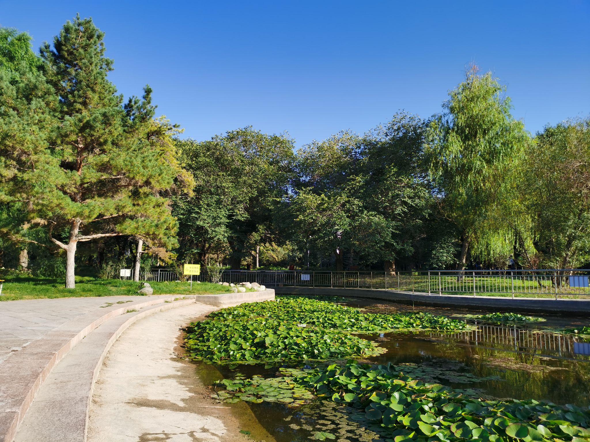 乌鲁木齐植物园风景