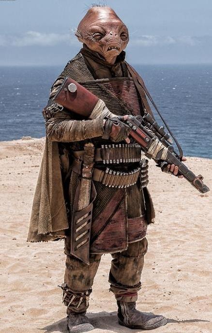 游侠索罗彩蛋与渊源全面解析