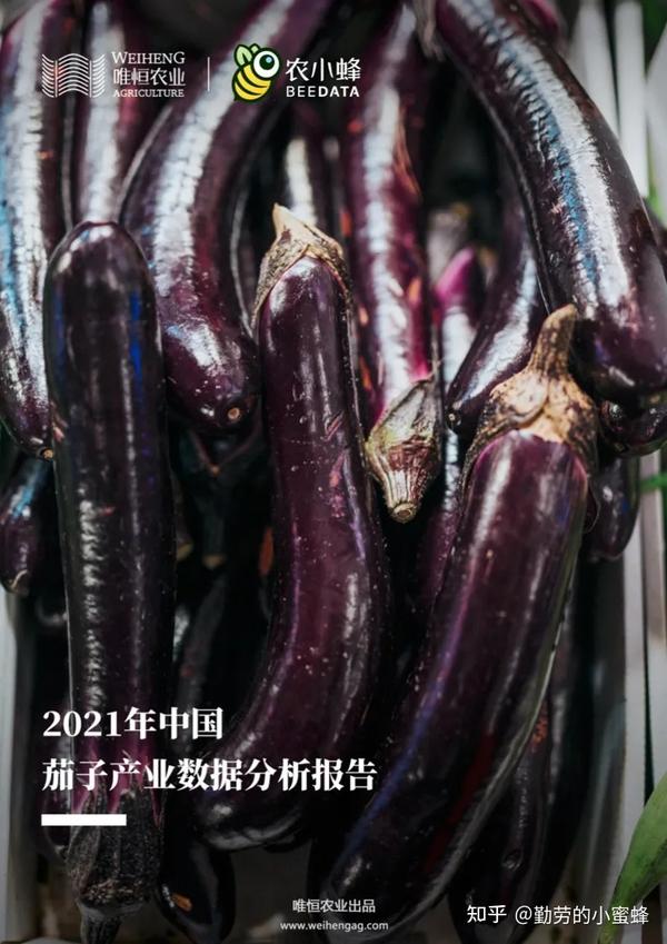 21年中国茄子产业数据分析简报 知乎