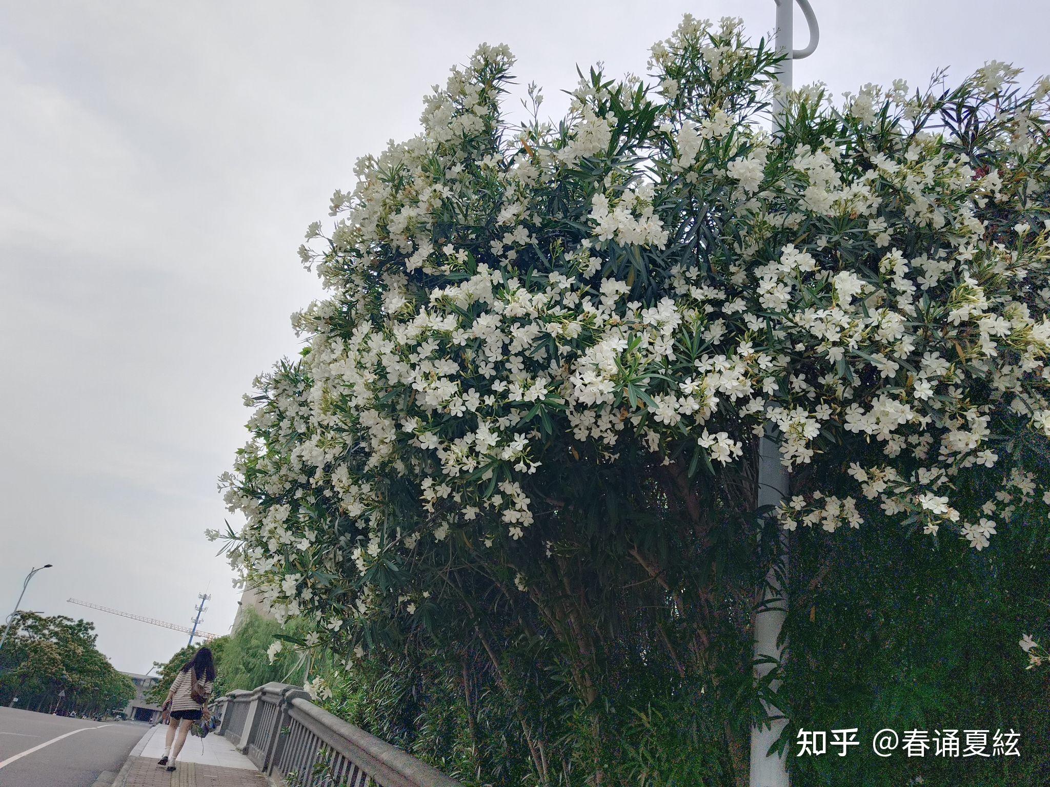 干货# 10个例子学会英语议论文结尾段while模式 - 知乎