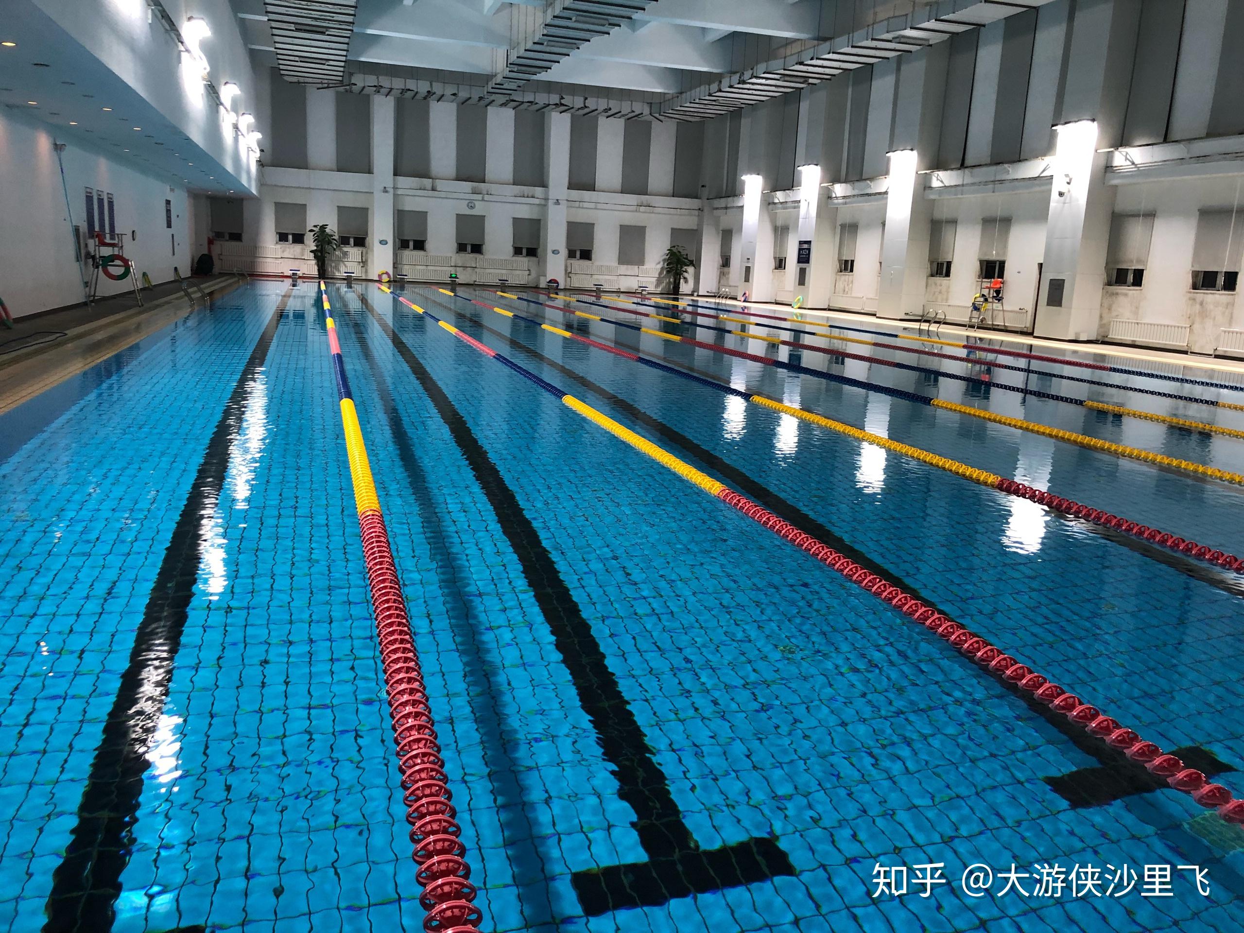 沈阳省政府游泳馆图片