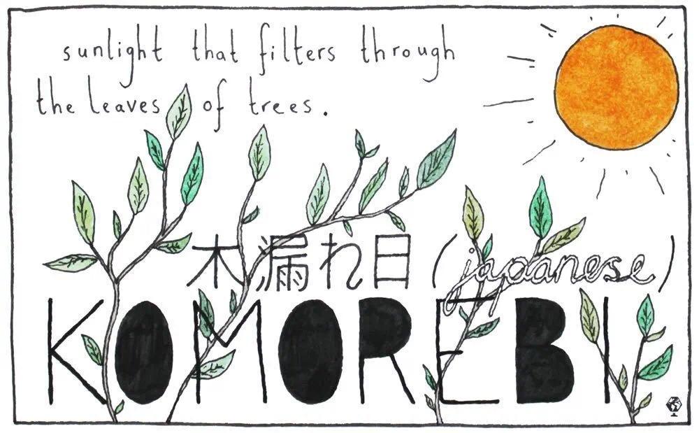 开年第一课这些藏在外语里的精妙词语你发现了吗