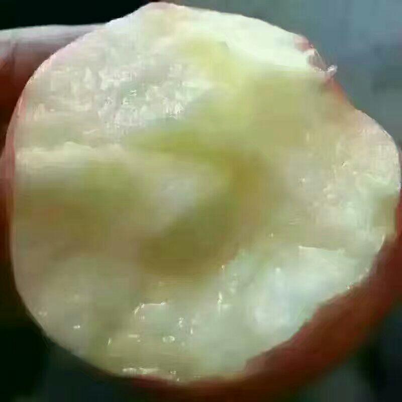 v2-764f69b50f42b8d409c12b703e1c03d9_r.jpg