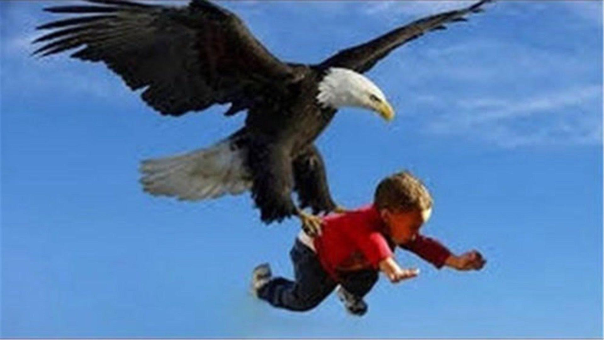 老鹰抓住小孩没成想飞不起来反被家长抓住镜头拍下全过程