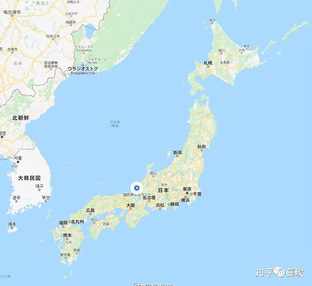 去看花隆冬日本满开水仙的海岸线