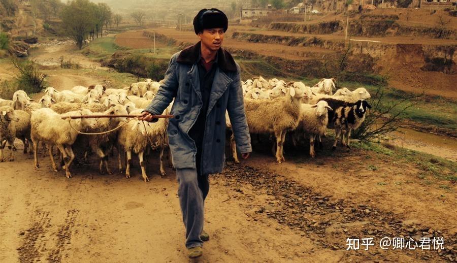 在孙少安的价值观排序中,家庭高于个人