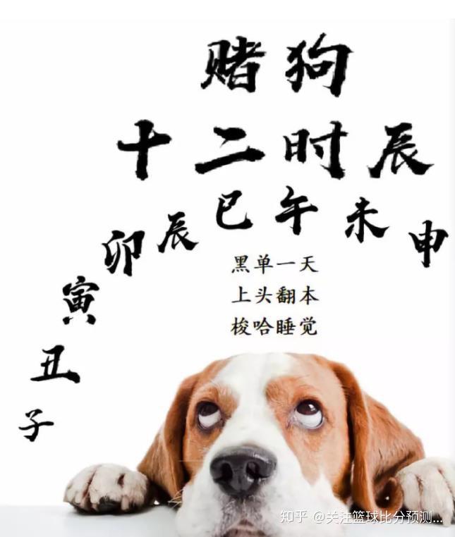 赌狗十二时辰内容过于真实