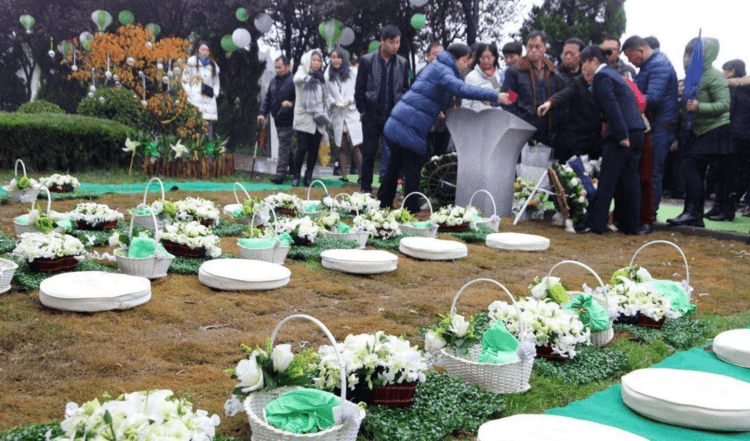 唯唯道来长青园骨灰林自然葬你会选吗