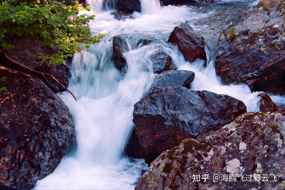 《滁州西涧》 [唐] 韦应物 独怜幽草涧边生，上有黄鹂深树鸣。 春潮带雨晚来急，野渡无人舟自横。 - 知乎