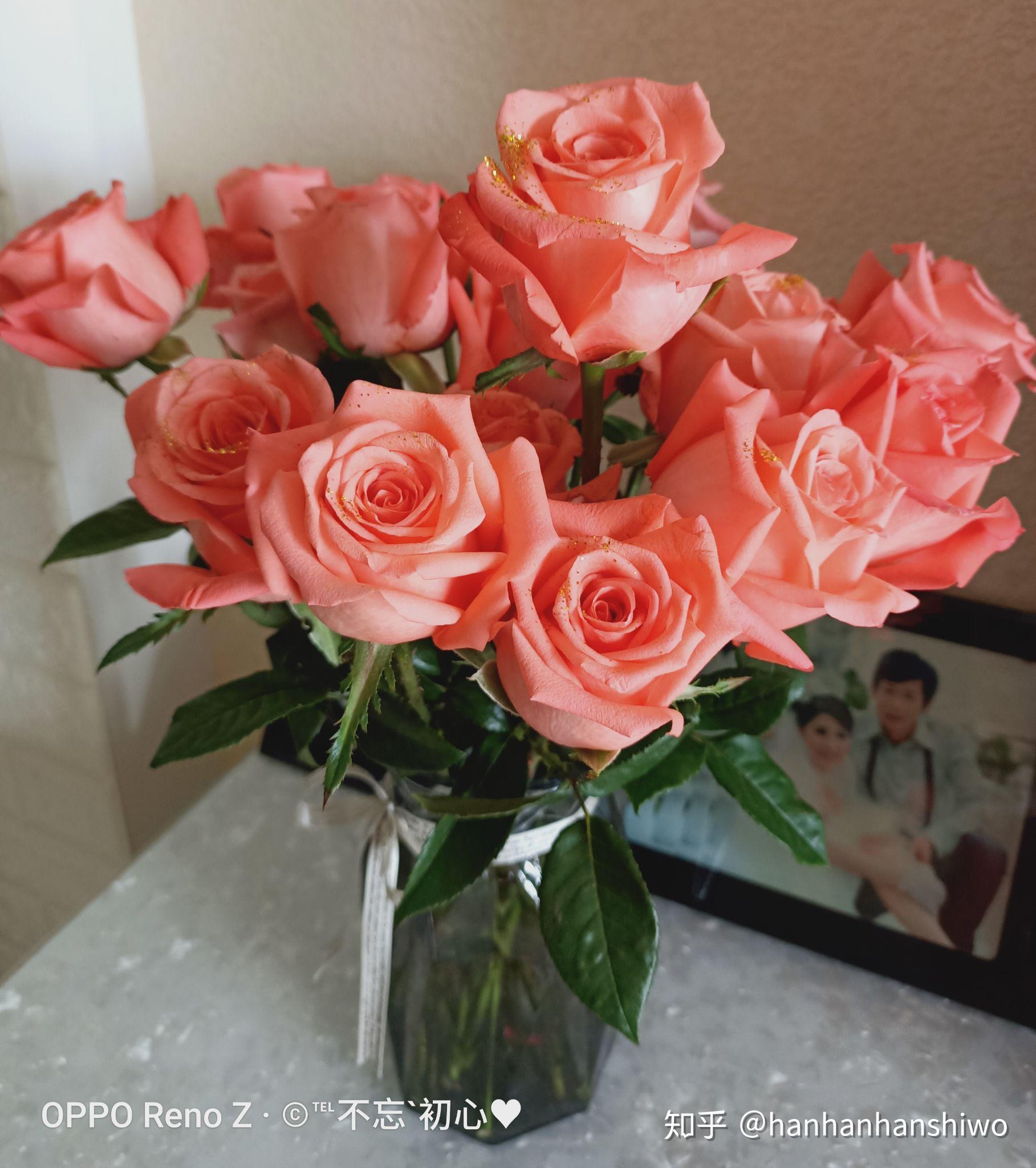 你们会经常买鲜花布置家里吗