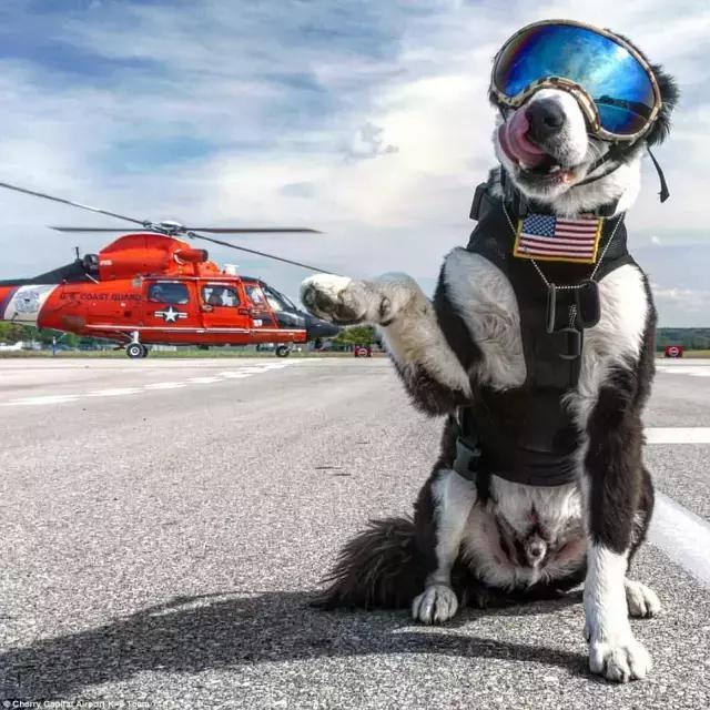 他用相机记录了piper工作时照片…认