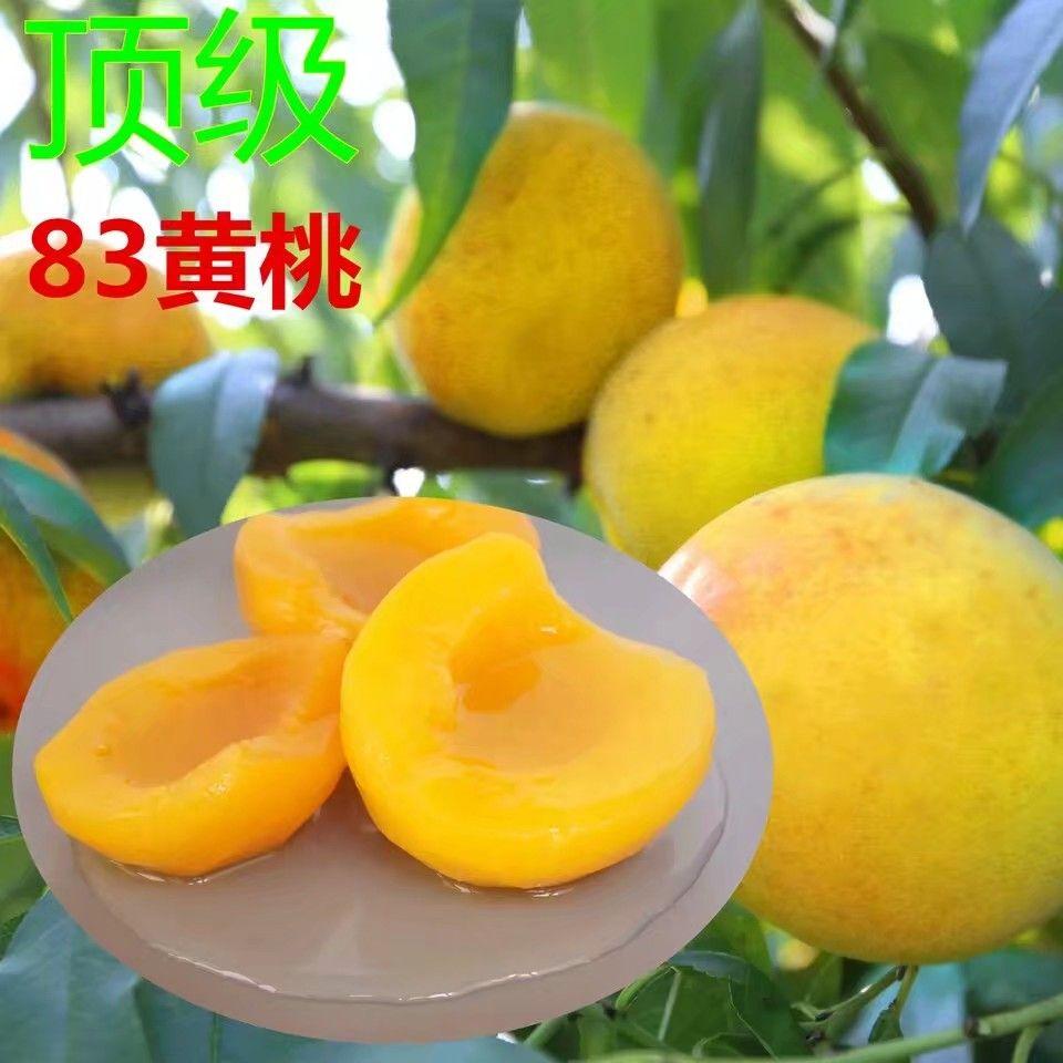 有哪些有趣又赚钱的副业?