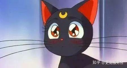 黑知识丨玄猫，辟邪之物；宜置于南，子孙皆宜 - 知乎